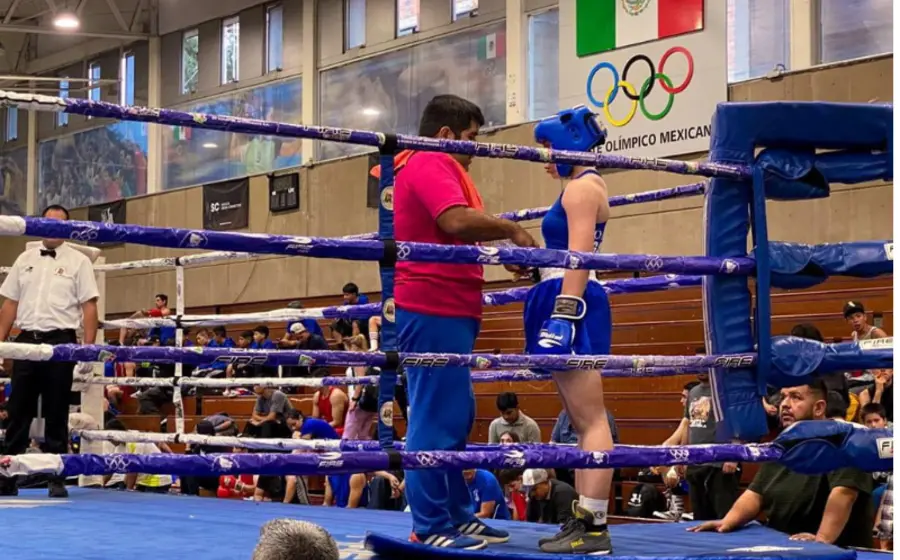 festival-boxeo4-portada