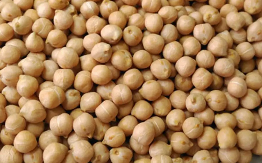 garbanzo
