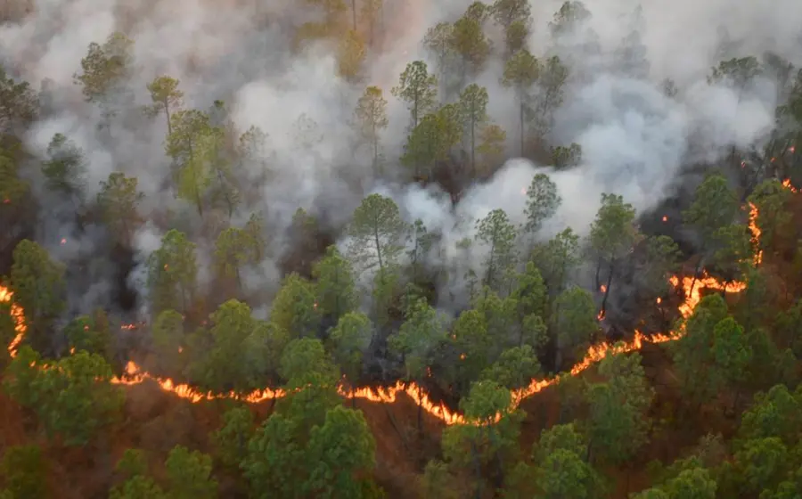 incendios