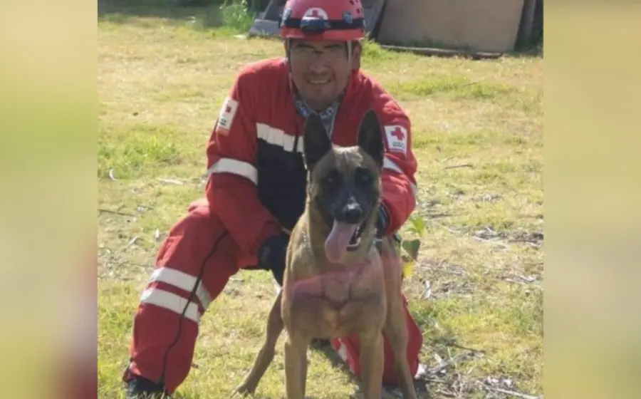 perro