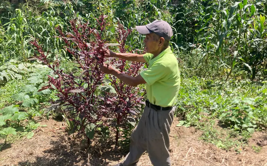 urgen_manos_rescate_río_atoyac