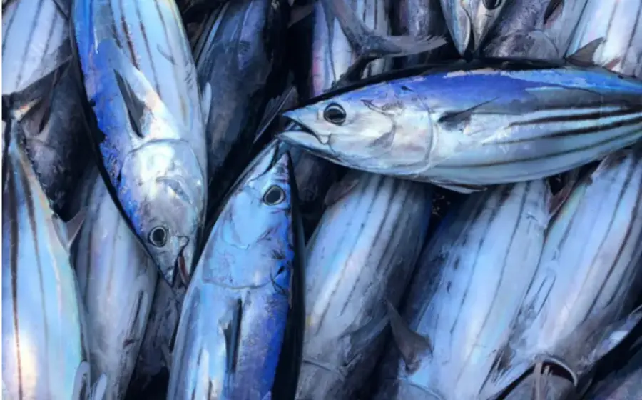 pescadores_mar