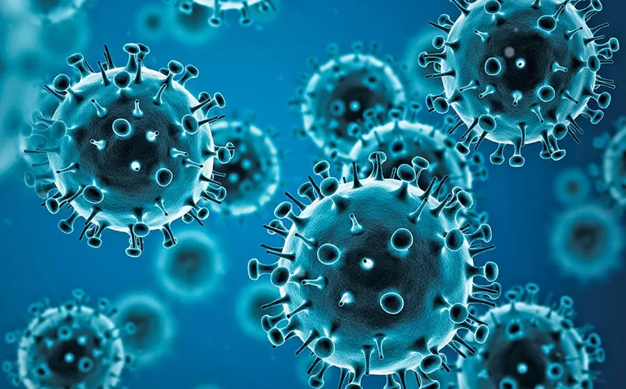 H1N1