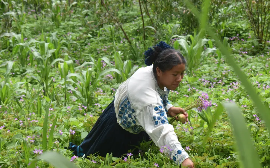 Mujeres-Poj-Kaa3