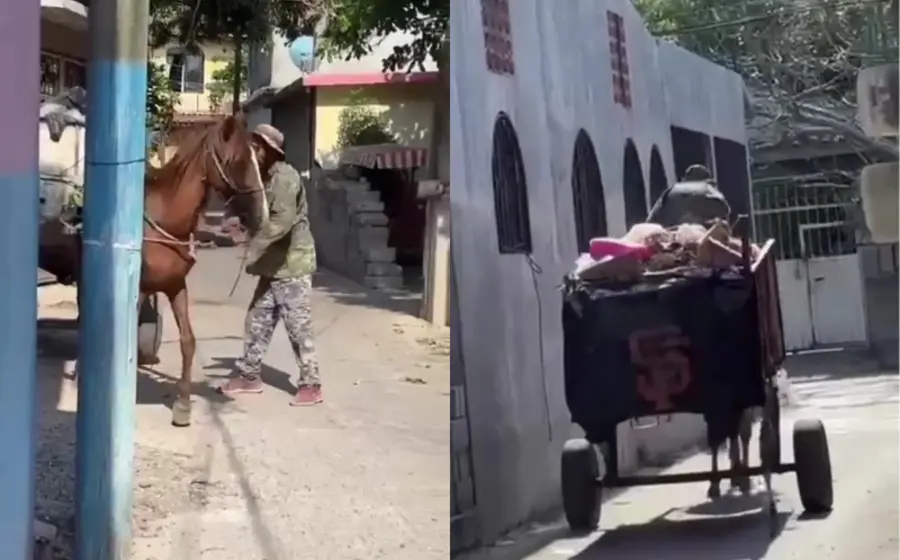 caballo-huajuapan-portada