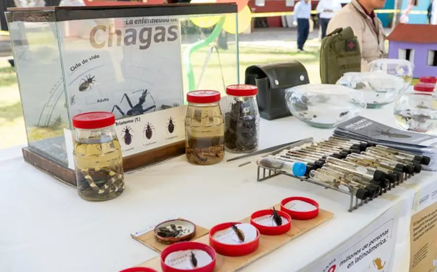 chagas-oaxaca
