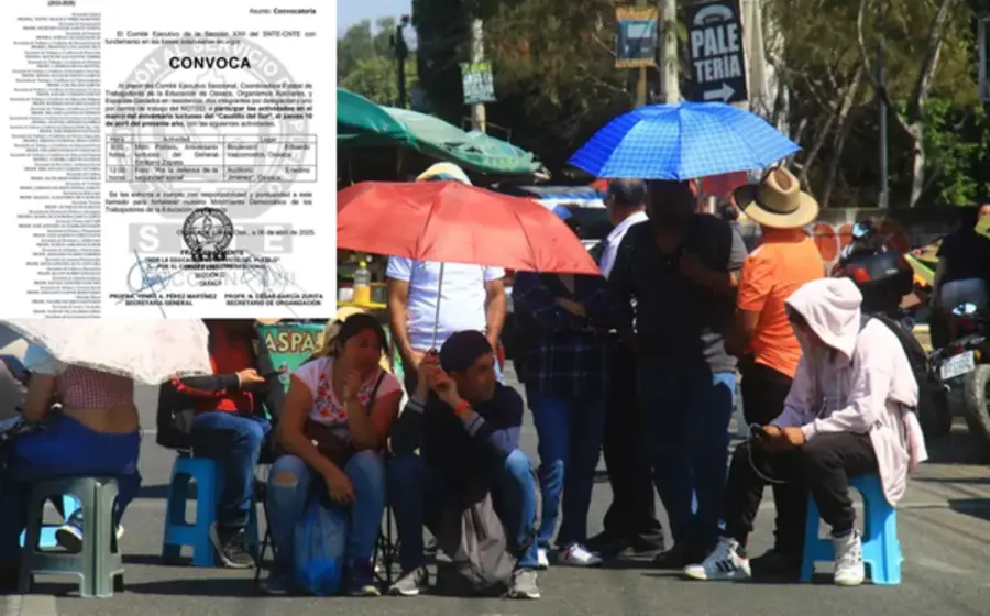 docentes_actividades