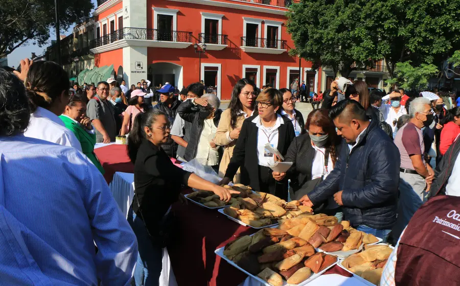 festival-primaria4