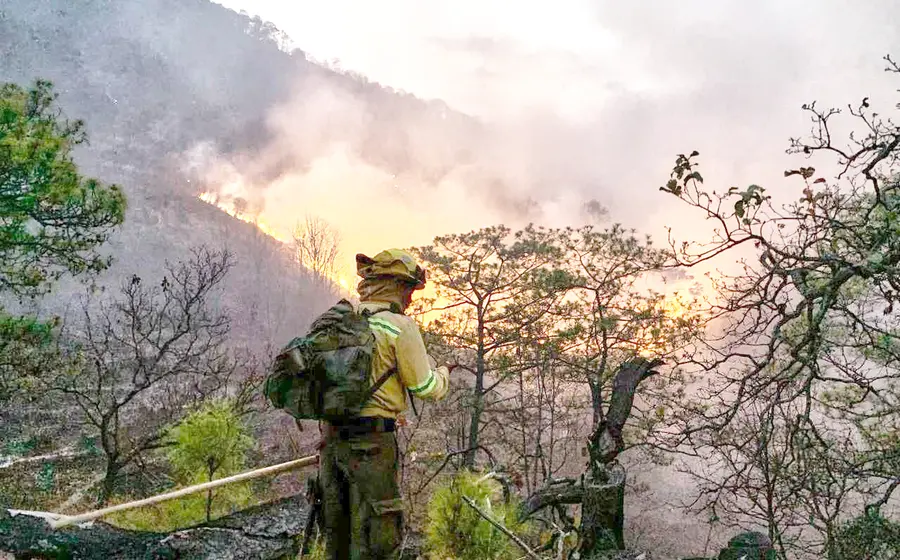 incendio_coesfo