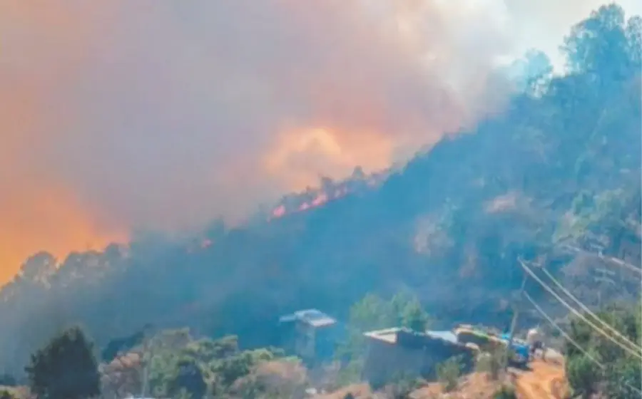 incendio-manzanito-portada