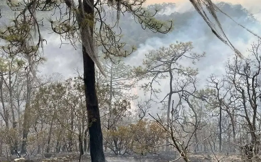 incendio-mixteca2