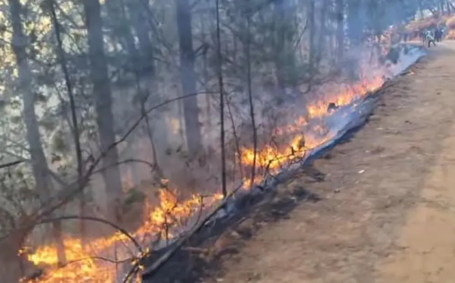 incendio-mnazanito
