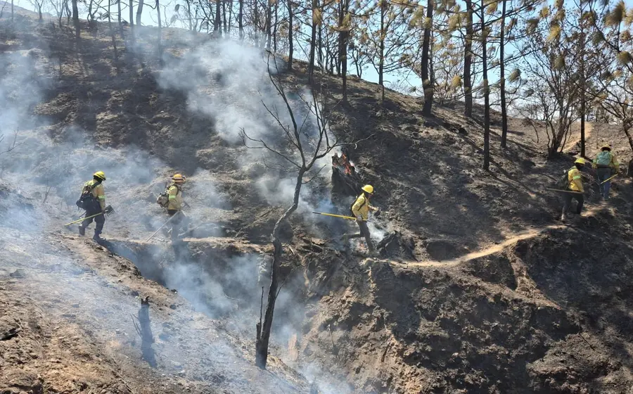 incendio-oaxaca