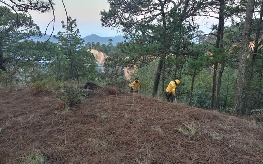 oaxaca_incendios_forestales