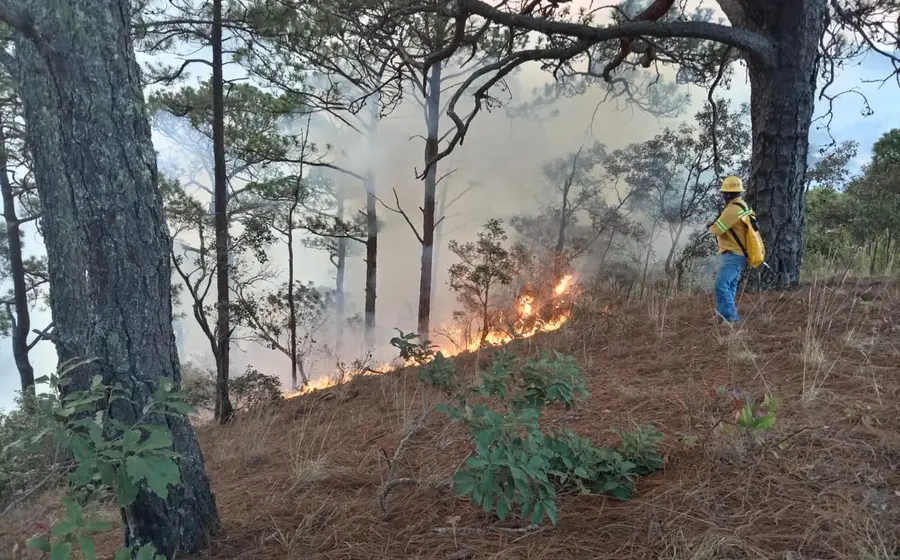oaxaca_incendios 