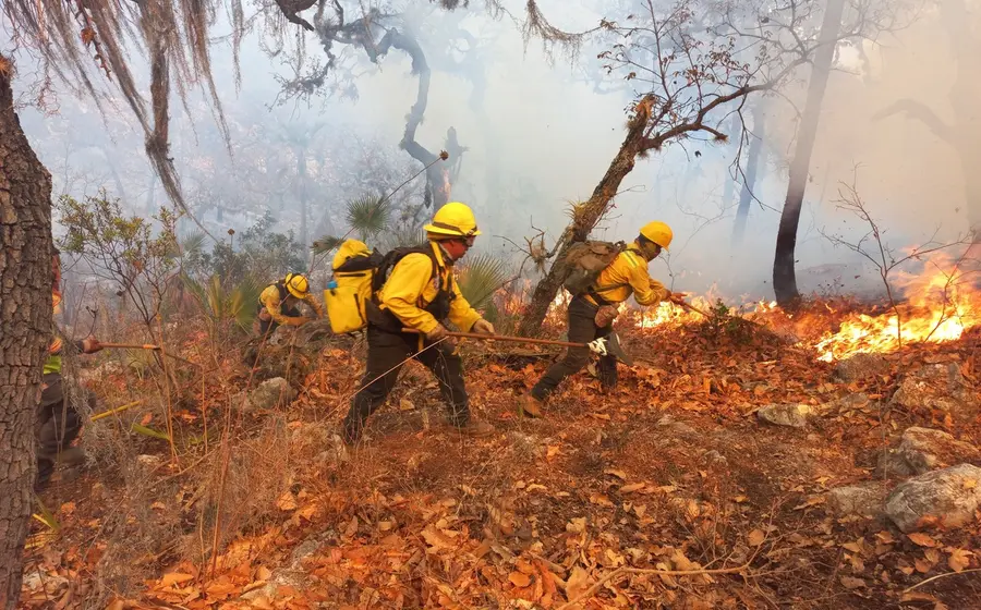 incendios-coesfo2
