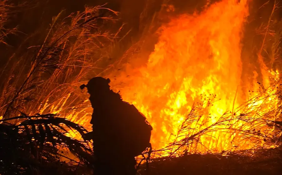 incendios-oaxaca