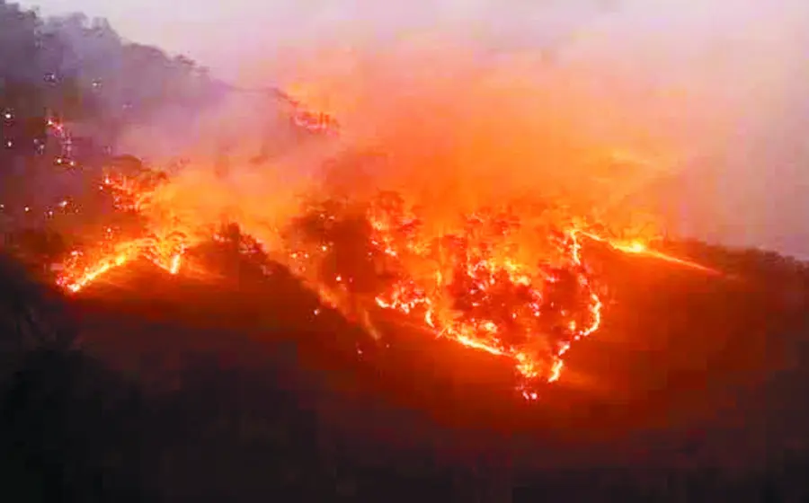 incendios-oaxaca3