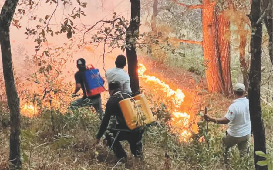 incendios-portada