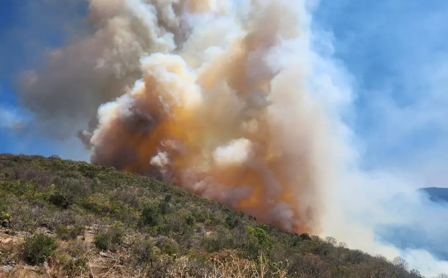 incendios