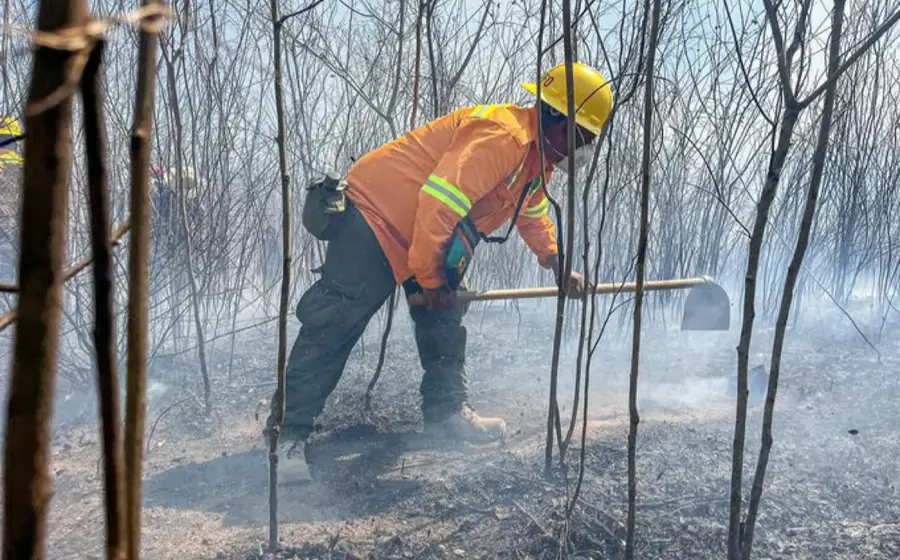 incendios3