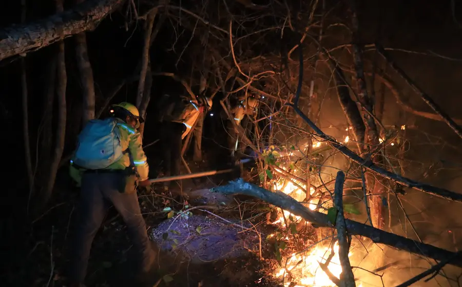 incendios6