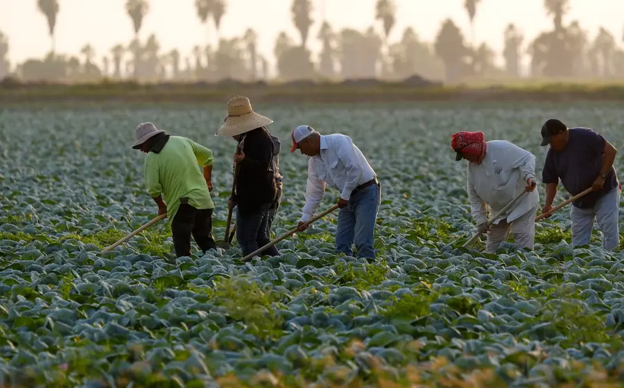 migrantes