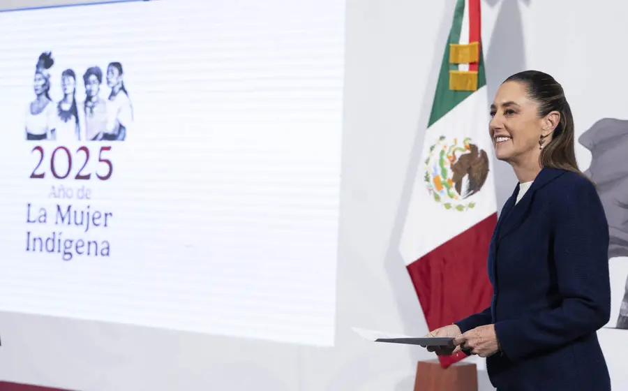 ine_electoral_cambios_sheinbaum_consulta