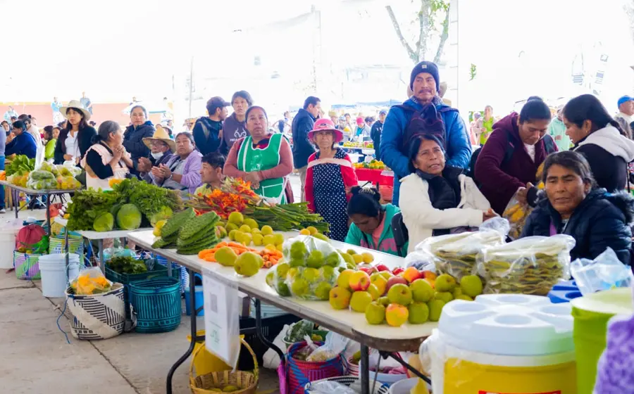 feria_alimentos_
