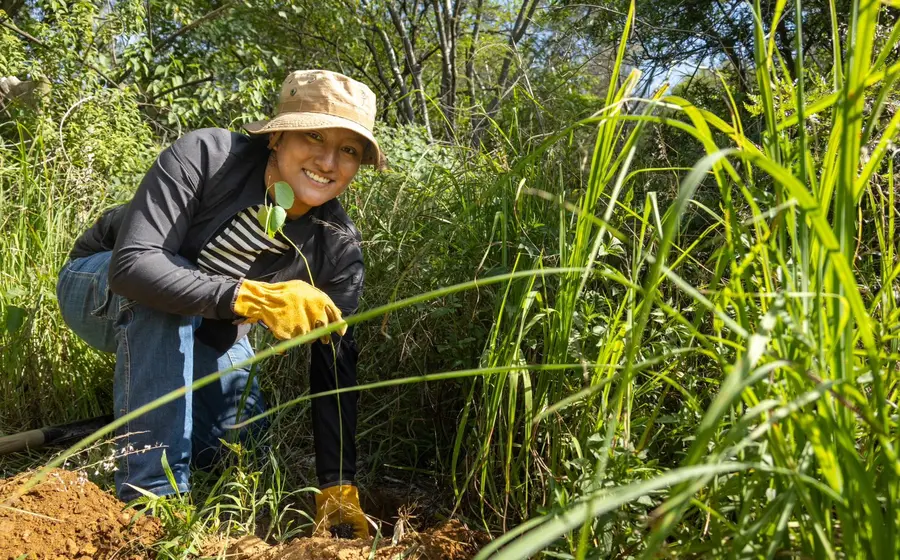 reforestacion_ambiente_oaxaca
