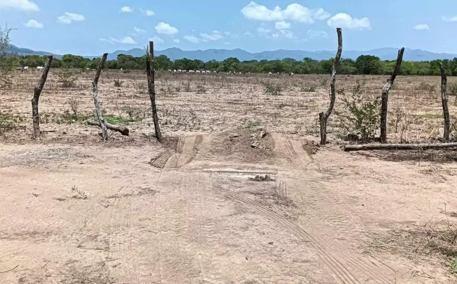 tierras_oaxaca_invasion