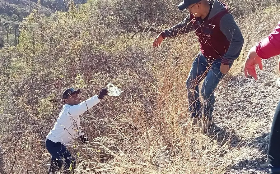 seguridad_basura