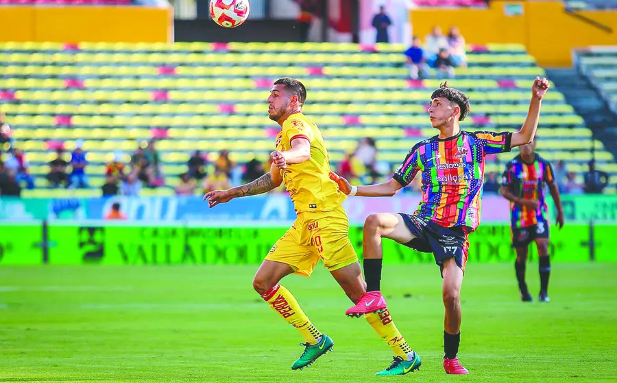 fut_alebrijes