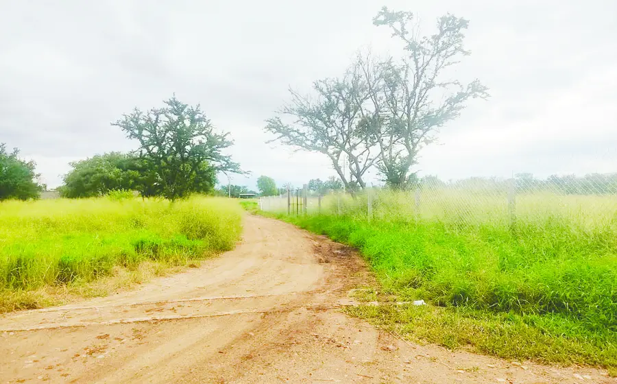 mesera_asesinada_bar_oaxaca