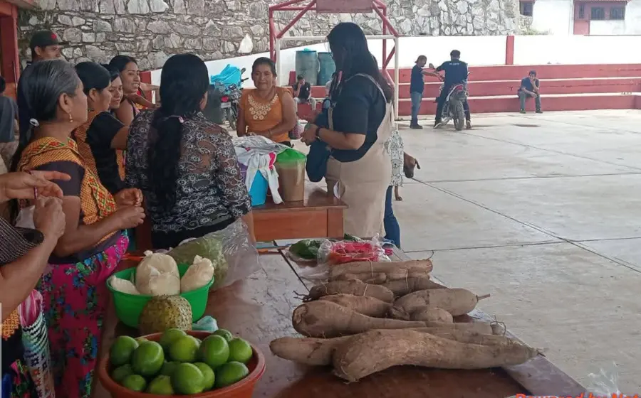comercio-campesinos-tehuantepec