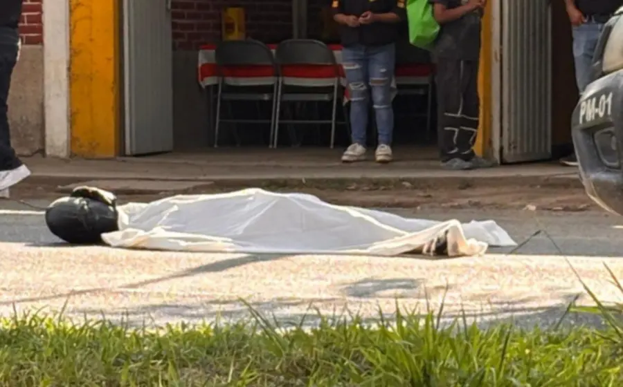 muere-binnibus