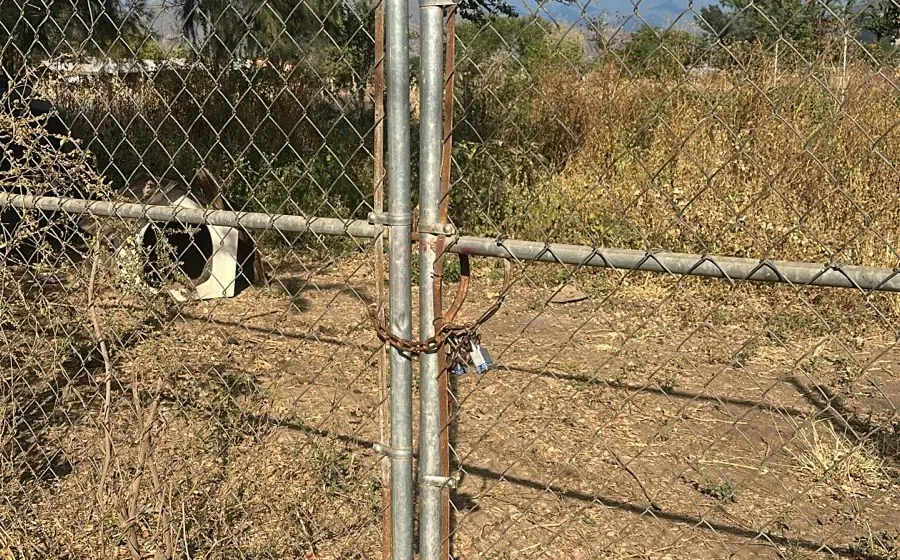 Un perro dorbeman estaba abandonado en un terreno.