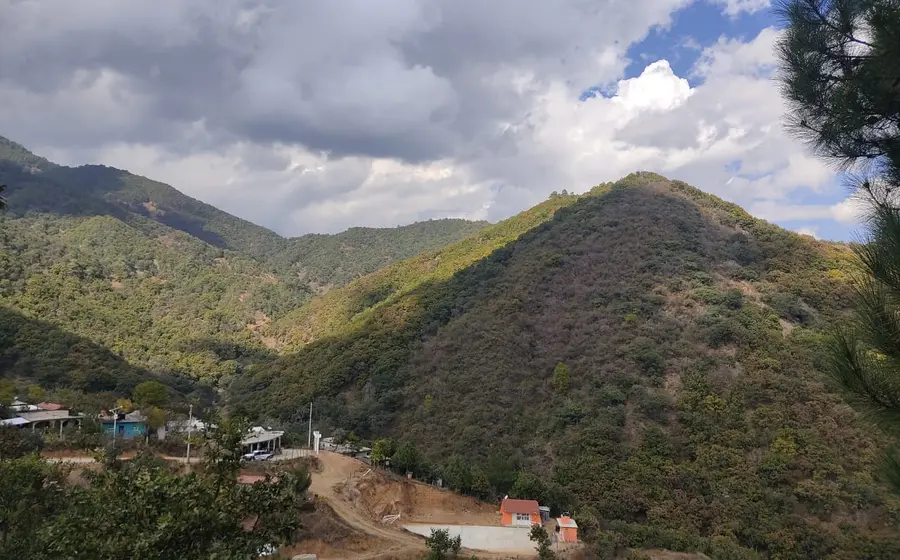 Cuerpo de Paulino, de 35 años, localizado sin vida en un paraje de La Cañada, Santa Inés del Monte, donde era devorado por perros.
