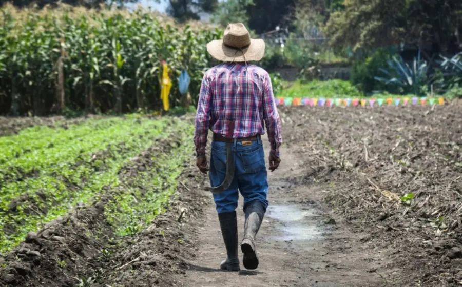 El campo mexicano enfrenta una crisis por el presupuesto más bajo en una década, lo que provocará un alza en la importación de granos.