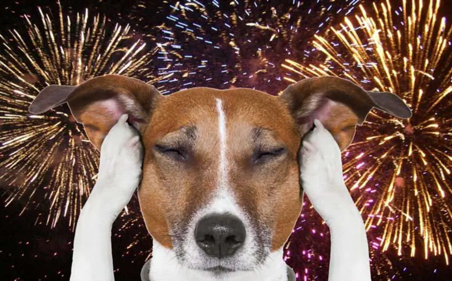Imagen de la campaña 'cero pirotecnia' que concientiza sobre el peligro silencioso de los fuegos artificiales para personas vulnerables y mascotas.