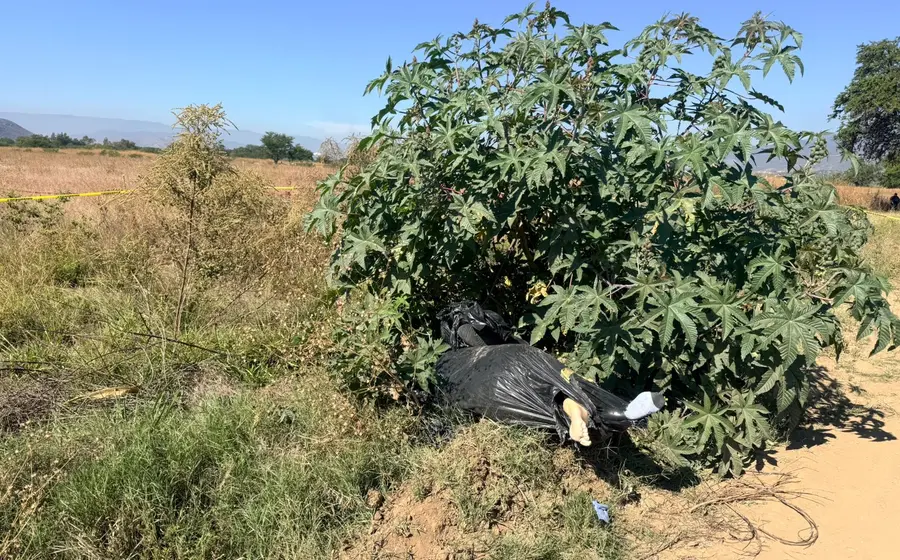 Los cuerpos de un hombre y una mujer hallados dentro de una bolsa negra en Tlalixtac de Cabrera, Oaxaca, tras ser torturados y ahogados.