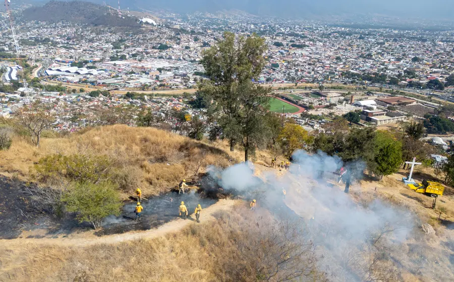 Trabajadores crean una franja de protección forestal como medida para prevenir incendios en los alrededores de la zona arqueológica de Monte Albán.