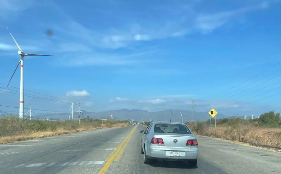 Una ráfaga de viento fuerte dobla las palmeras y levanta polvo en el Istmo de Tehuantepec durante la temporada navideña.