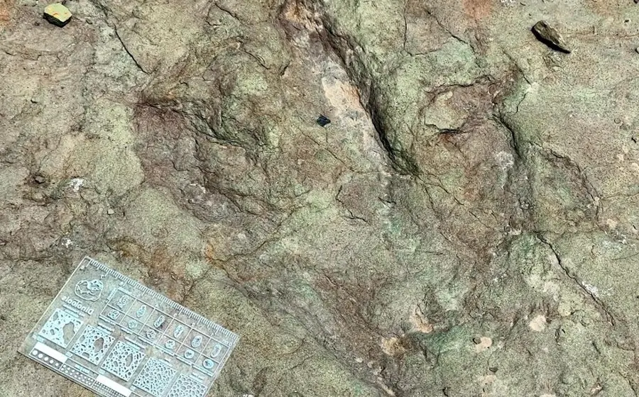 Un rastro prehistórico gigante con huellas de dinosaurios, descubierto en la Reserva de la Biósfera Tehuacán-Cuicatlán, en la frontera de Puebla y Oaxaca.