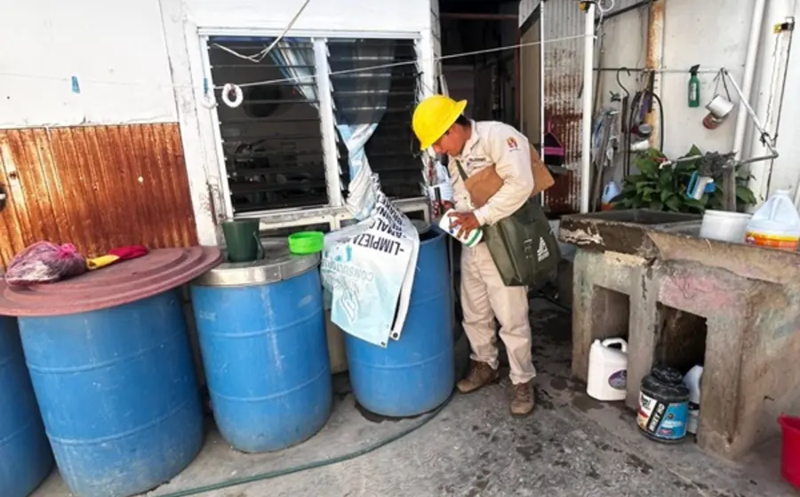 Imagen del mosquito Aedes aegypti, transmisor del dengue, que resiste el clima frío y ha provocado nuevos casos en Oaxaca durante el invierno.