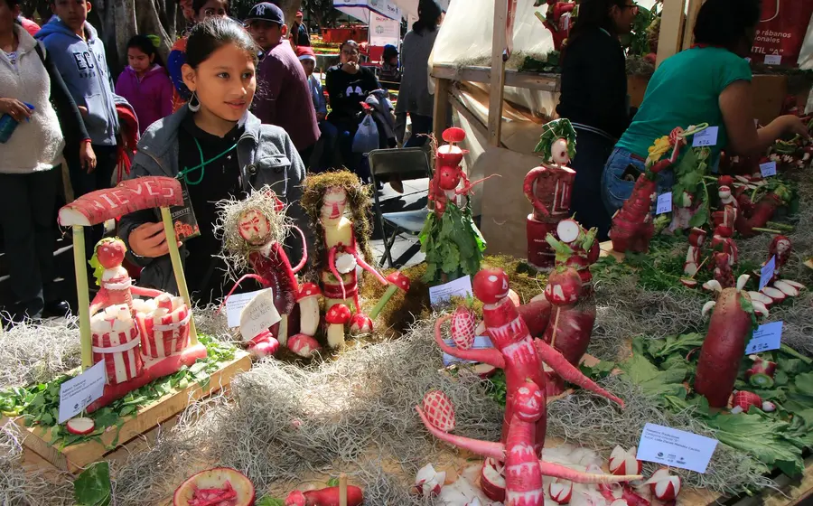 La capital de Oaxaca se prepara con adornos y ambiente festivo para recibir a miles de visitantes para la tradicional Noche de Rábanos.