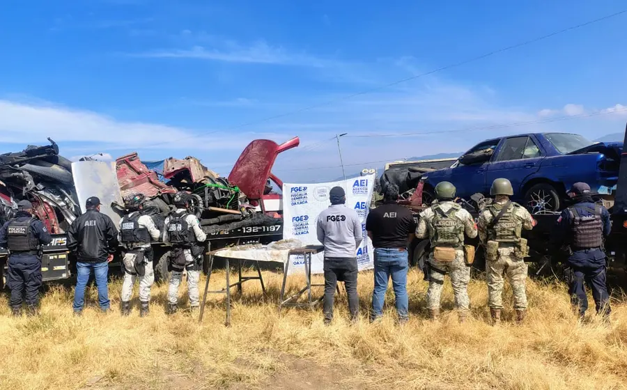 Varias autoridades policiacas y peritos forenses participan en el operativo de campo durante la búsqueda de una persona desaparecida en la región.