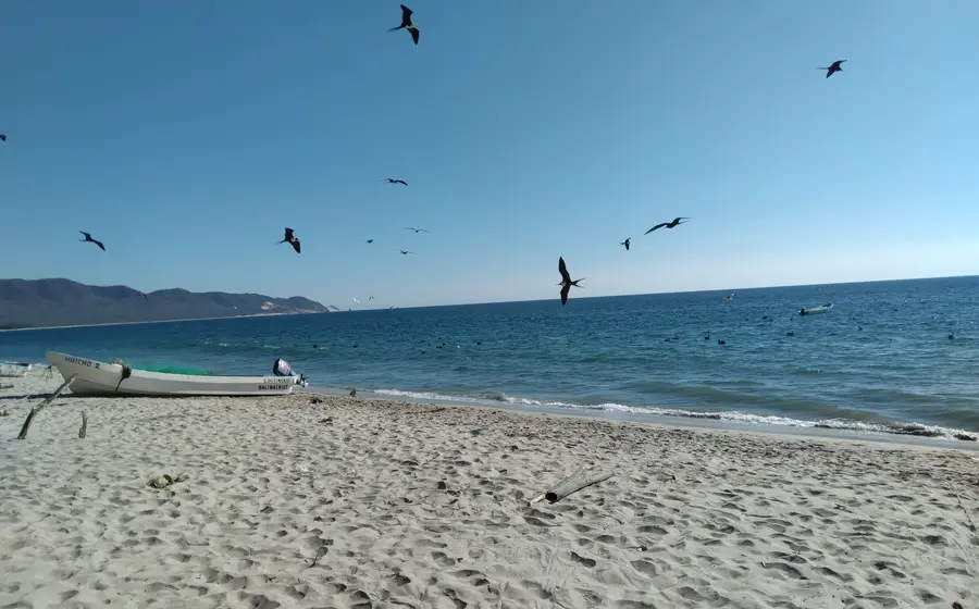Una palapa en la playa con mesas y sillas vacías, preparada y en espera de la llegada de los vacacionistas durante la temporada.