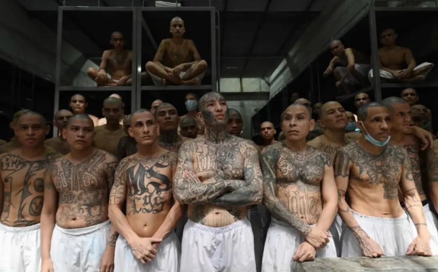 Pandilleros de la MS-13 en un tribunal durante el juicio donde fueron sentenciados a prisión bajo el régimen de excepción.