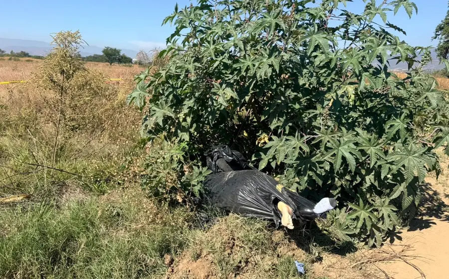 Fotografía de Leobardo A.G.T. y Jaqueline C.C., la pareja de Santo Domingo Tomaltepec hallada sin vida en Tlalixtac de Cabrera.